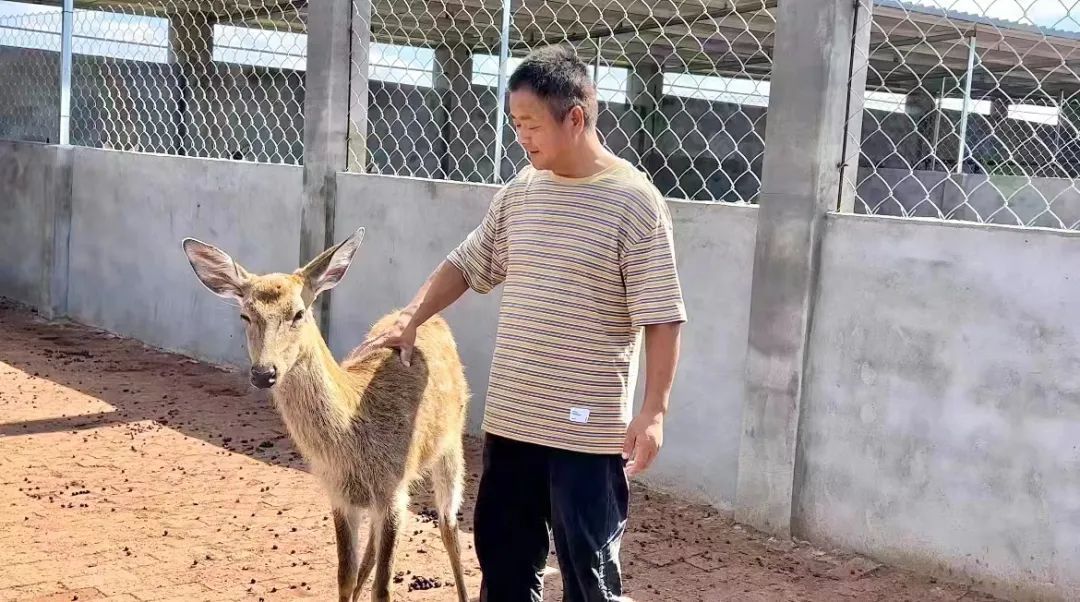 手游45游戏中心